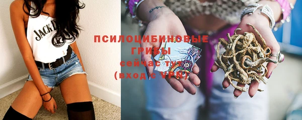 шишки Кинешма